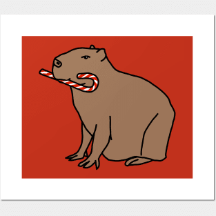 Cute Christmas Capybara with Candy Cane Posters and Art